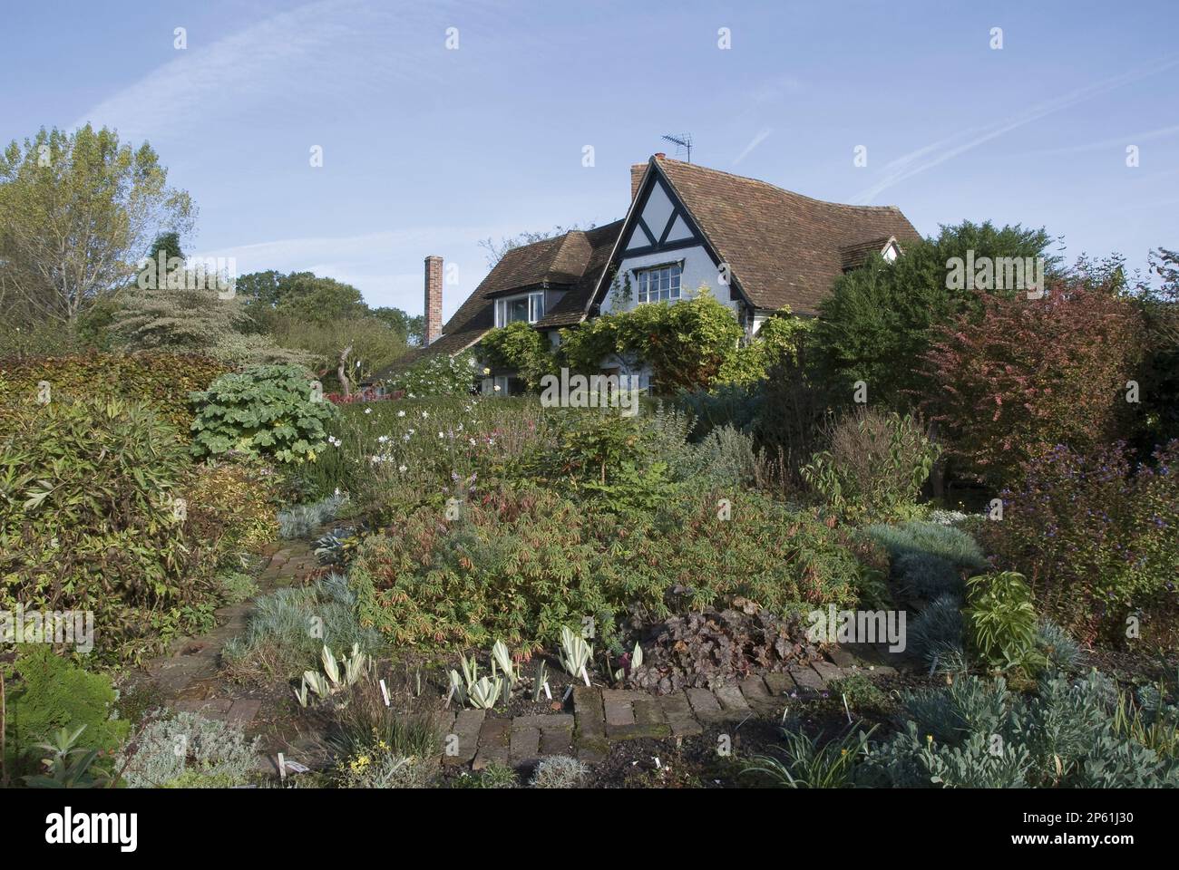 Frontera elevada en el jardín de la casa de campo con el edificio detrás de Eastgrove Cottage Foto de stock