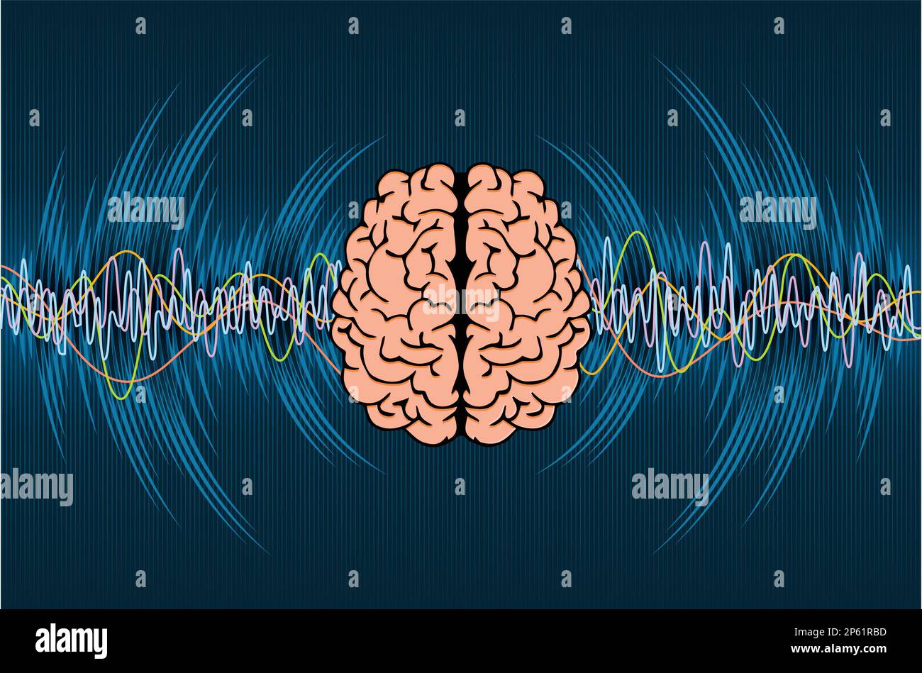 Ondas cerebrales humanas Alfa Beta Gamma Theta y Delta Diagrama de😉 ...