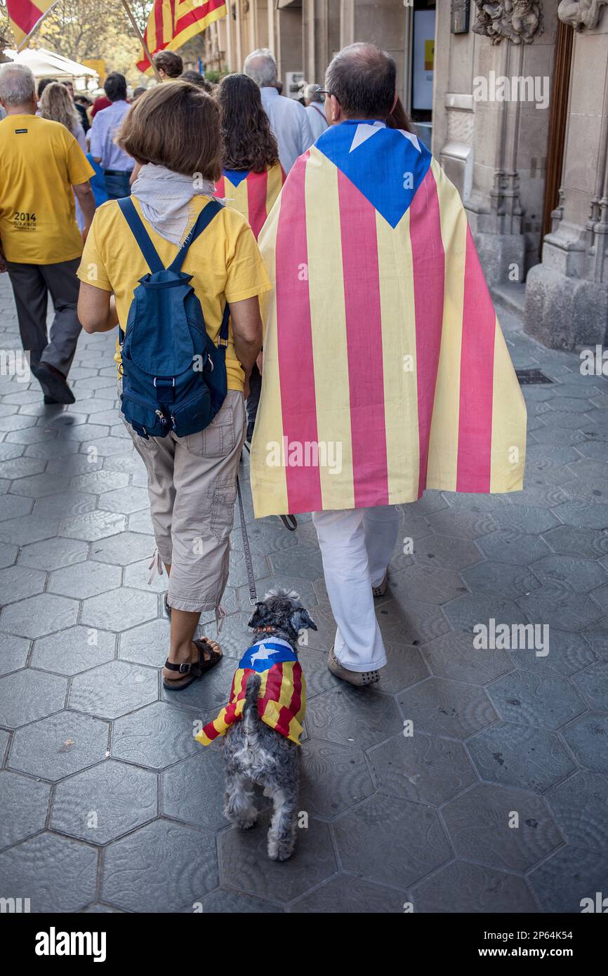 Manifestación política por la independencia de Cataluña. Passeig de Gracia.El 19 de octubre de 2014. Barcelona. Cataluña. España. Foto de stock