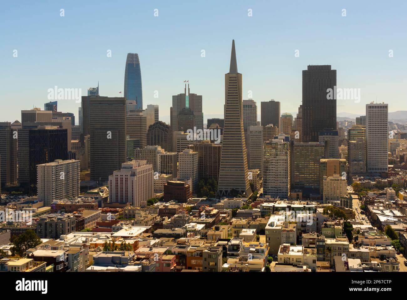 Horizonte de San Francisco dominado por el edificio Transamerica Pyramid visto desde Coit Tower, San Francisco, California, Estados Unidos de América, América del Norte Foto de stock