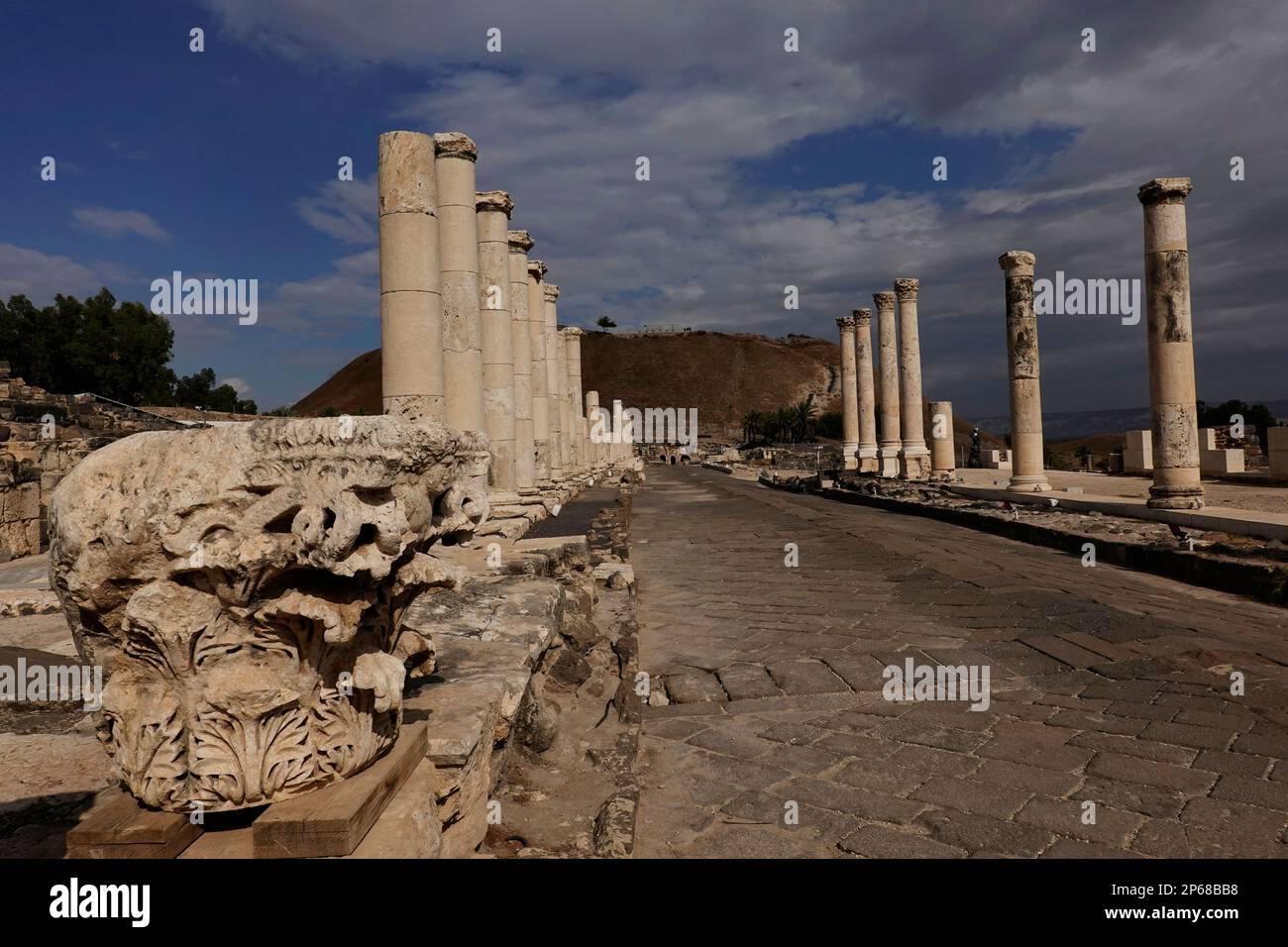 Las ruinas de la antigua ciudad romana y bizantina de Bet She'an, Parque Nacional Bet She'an, Israel, Oriente Medio Foto de stock