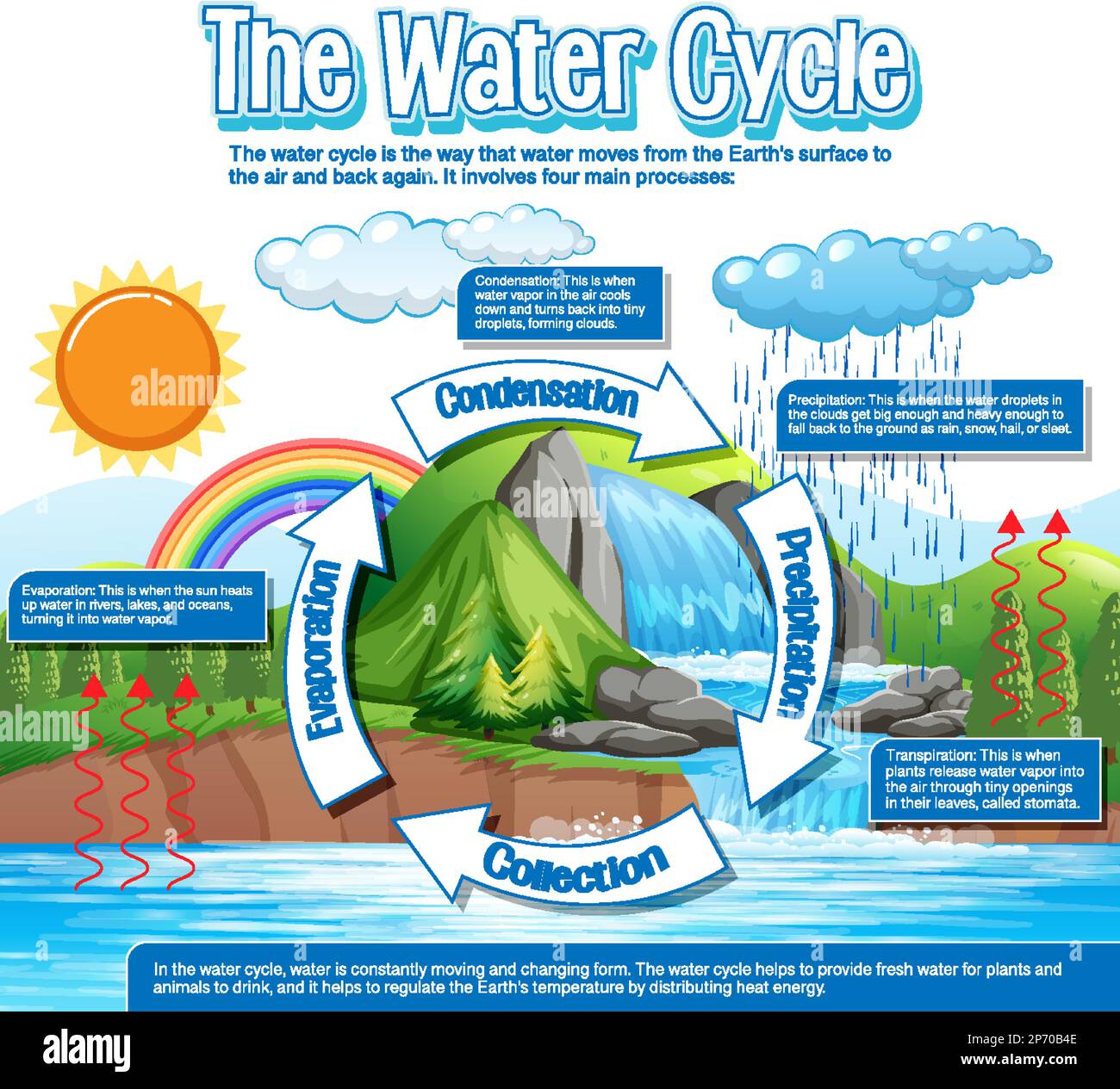 El diagrama del ciclo del agua para la ilustración de la educación de