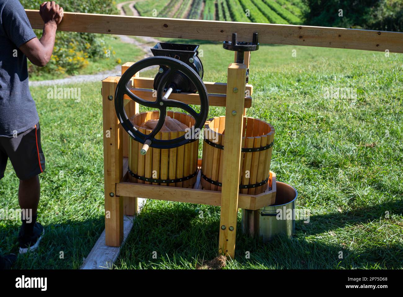 El hombre joven gira manivela en la prensa de sidra de manzana de madera con fondo verde soleado de la naturaleza de la granja al aire libre Foto de stock