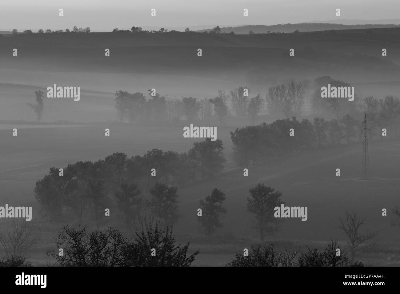Hermosos campos de Moravia con avenidas de árboles envueltos en la niebla de la mañana. República Checa, Moravia, República Checa, Europa Foto de stock