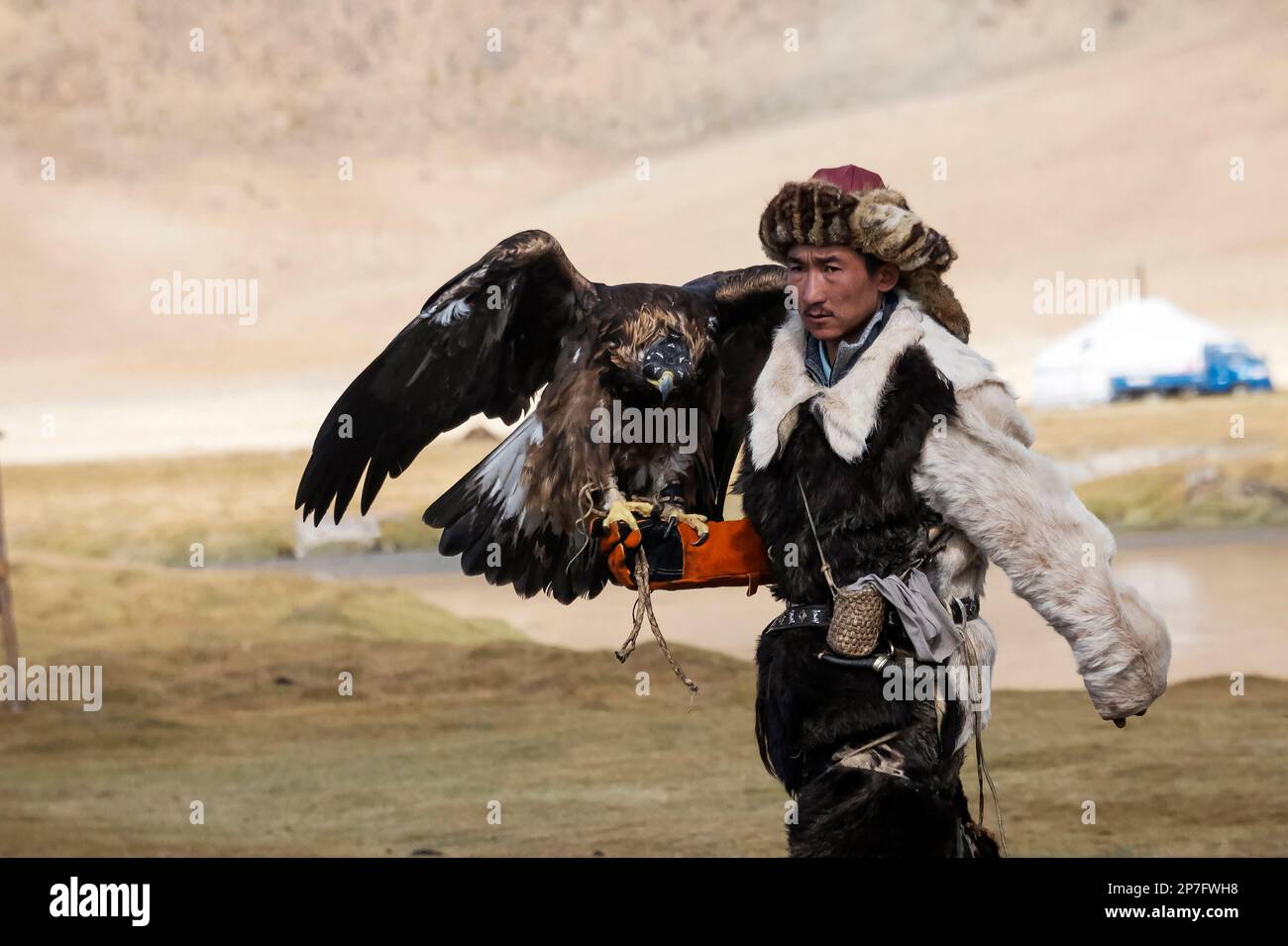 Los cazadores de águilas mongoles, en las profundidades de las escarpadas  colinas de la región de Altai de Mongolia, viven un grupo de cazadores con  una habilidad extremadamente rara: La caza con