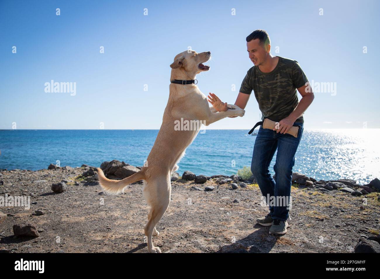 Un entrenador de perros con un labrador retriever durante un entrenamiento cerca del mar. Foto de stock