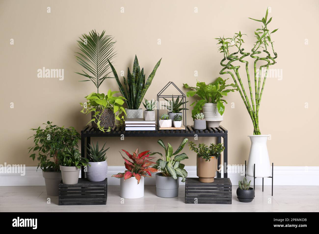 Elegante interior de la habitación con hermosas plantas en macetas y mesa  Fotografía de stock - Alamy