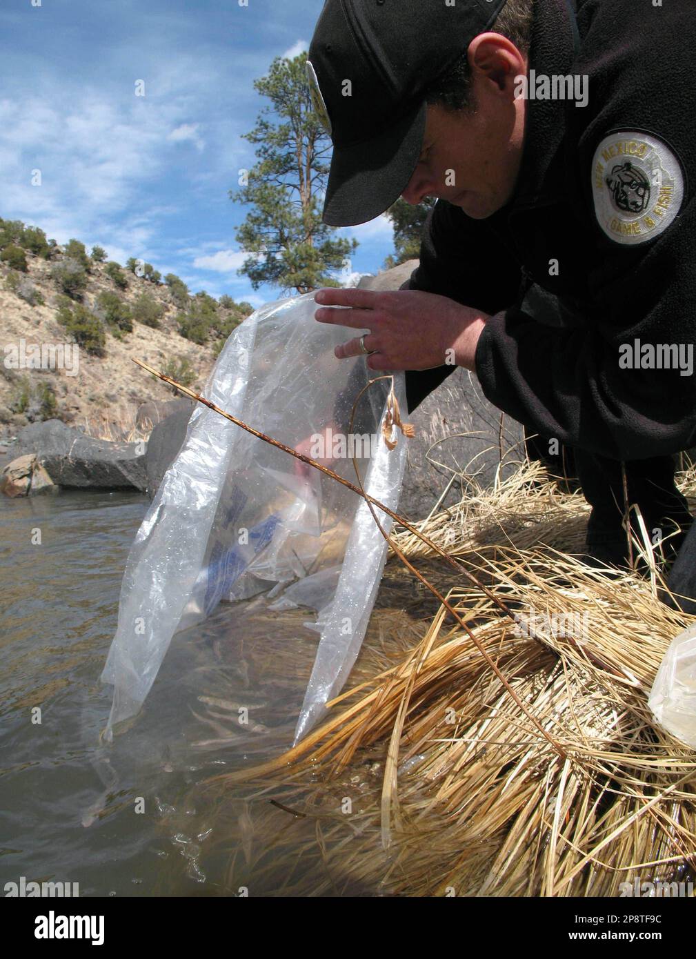 Eric Frey, a fisheries manager with the New Mexico Game and Fish