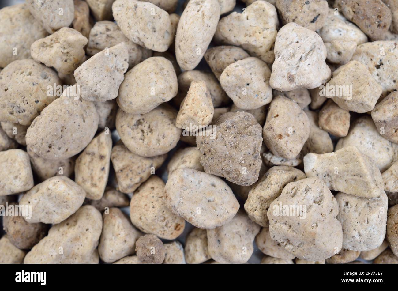 Piedra pómez natural o de rocas volcánicas en la mano en la playa de  perissa