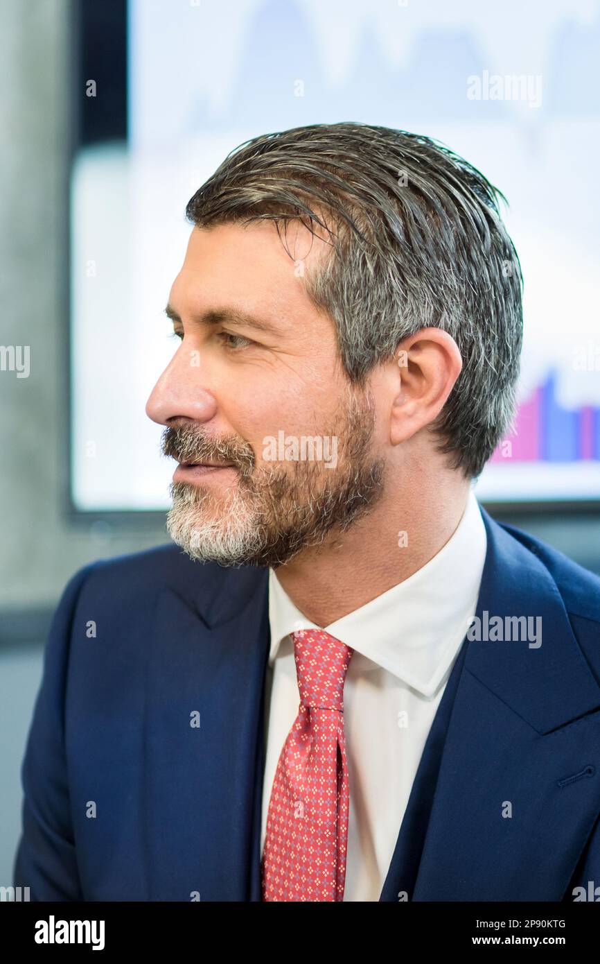 Retrato de hombre de negocios barbudo de pelo gris serio en traje formal y corbata mirando hacia fuera pensativamente durante la reunión en la oficina moderna Foto de stock