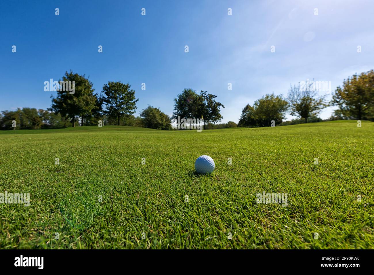 Pelota de golf blanca colocada en el suelo con hierba verde en el campo de golf a la luz del día brillante bajo el cielo azul sin nubes Foto de stock