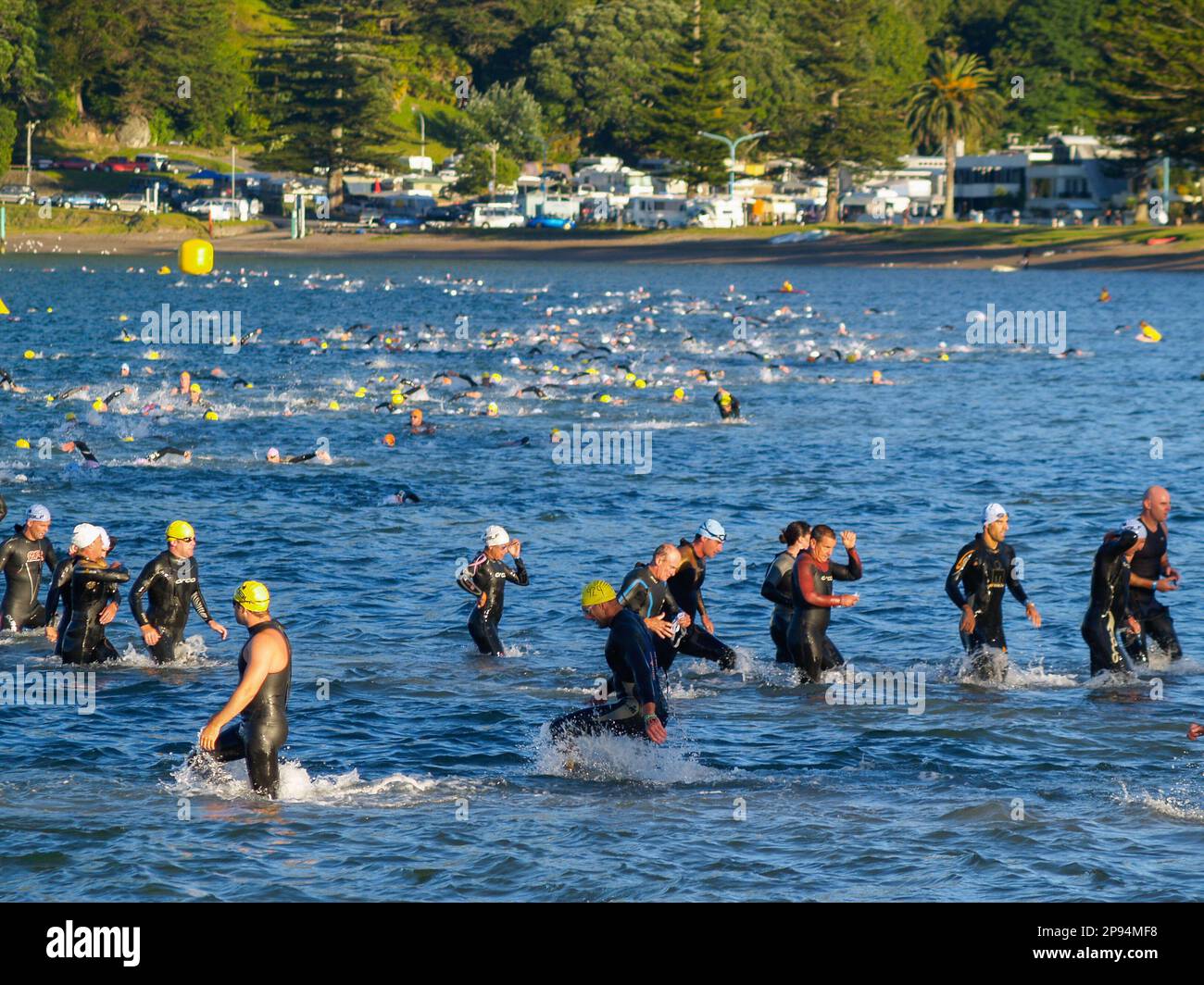 Tauranga Nueva Zelanda - Enero 8 2011; Competidores en la sección de natación en el puerto 2011 de Tauranga medio Iron-man en Pilot Bay, Monte Maunganui. Foto de stock