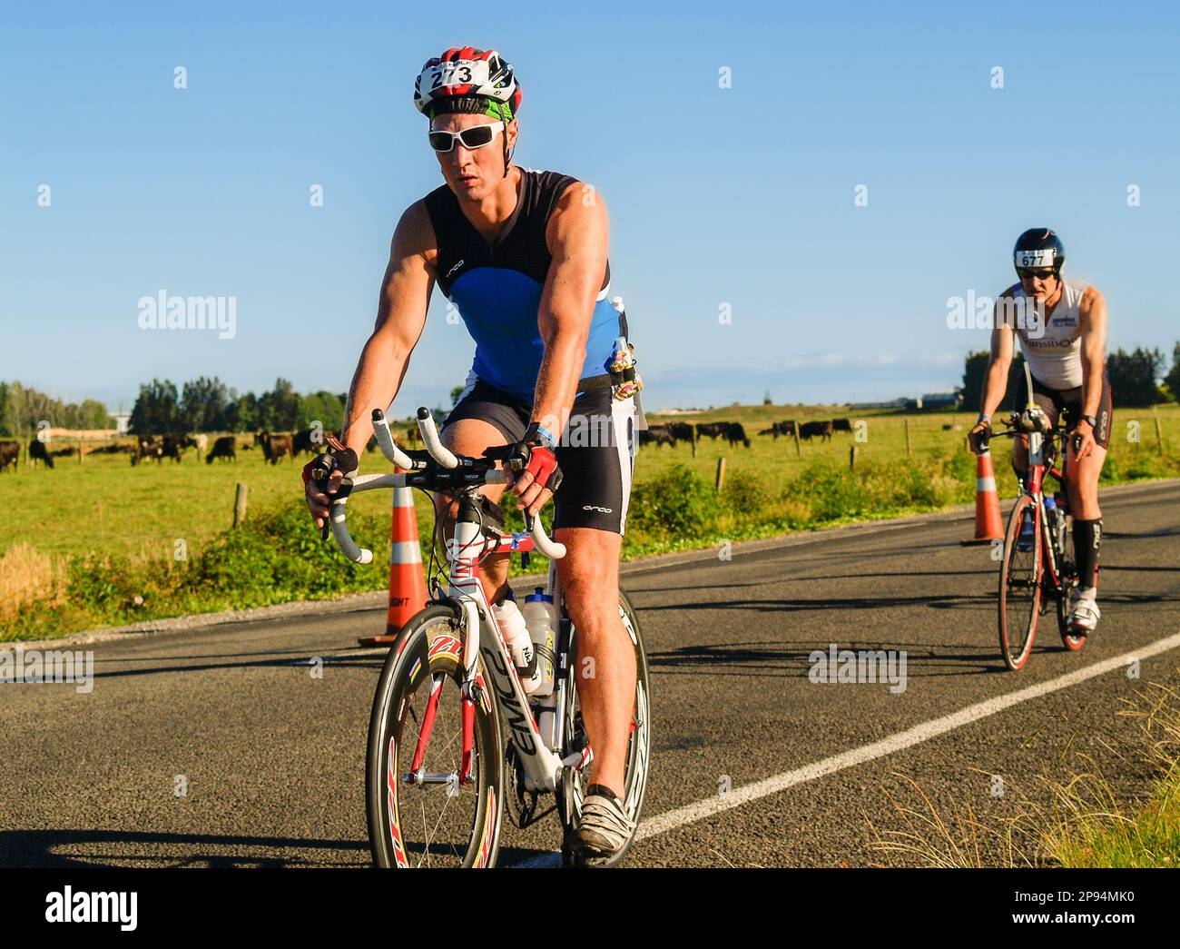 Tauranga Nueva Zelanda - enero de 8 2011; Ciclistas concursantes en la carretera en el puerto de Tauranga medio hombre de hierro. Foto de stock