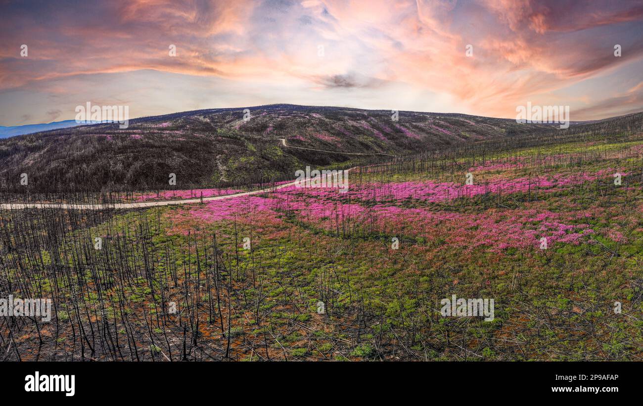 Vista aérea del paisaje en el norte de Canadá, territorio del Yukón con