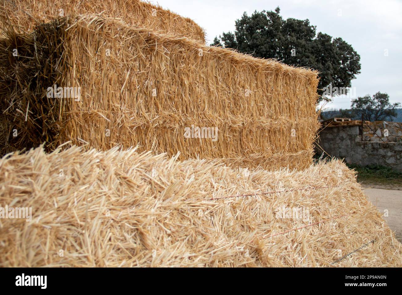 Los fardos de paja apiladas en el campo Fotografía de stock - Alamy