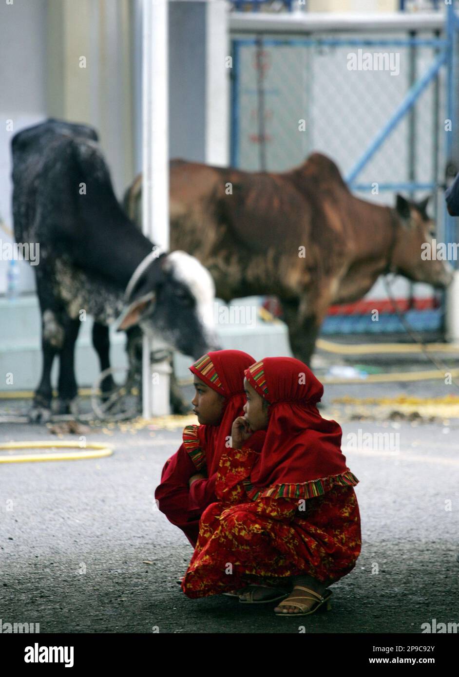 Muslim girls look at cows before they get slaughtered at a mosque in