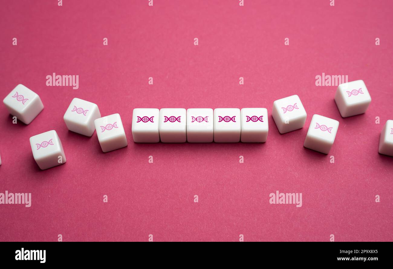 Monte la cadena de ADN genético. Ingeniería genética, modificación de