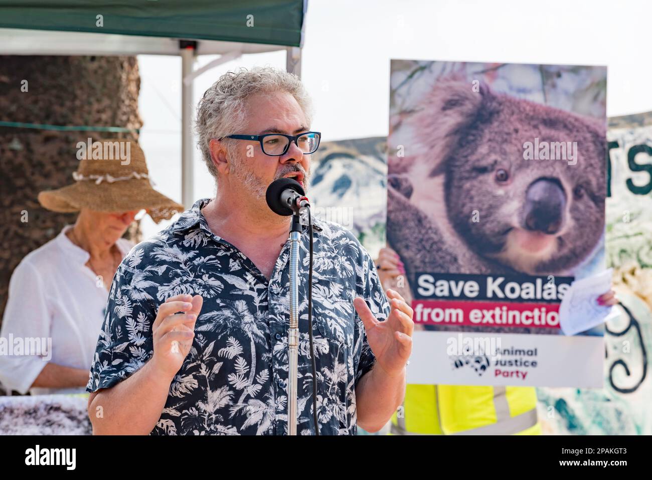 Saul Deane, del Centro de Medio Ambiente Total, habló sobre la destrucción de hábitats de Koala en el sur de Sídney en una reunión de protesta en Manly Beach para salvar a los Koalas en Nueva Gales del Sur. El evento fue organizado por miembros de la Fundación Bob Brown. Los oradores en la reunión pidieron el fin de la tala de bosques nativos y la creación de un parque nacional Koala en la costa norte. Crédito: Stephen Dwyer / Alamy Live News Foto de stock