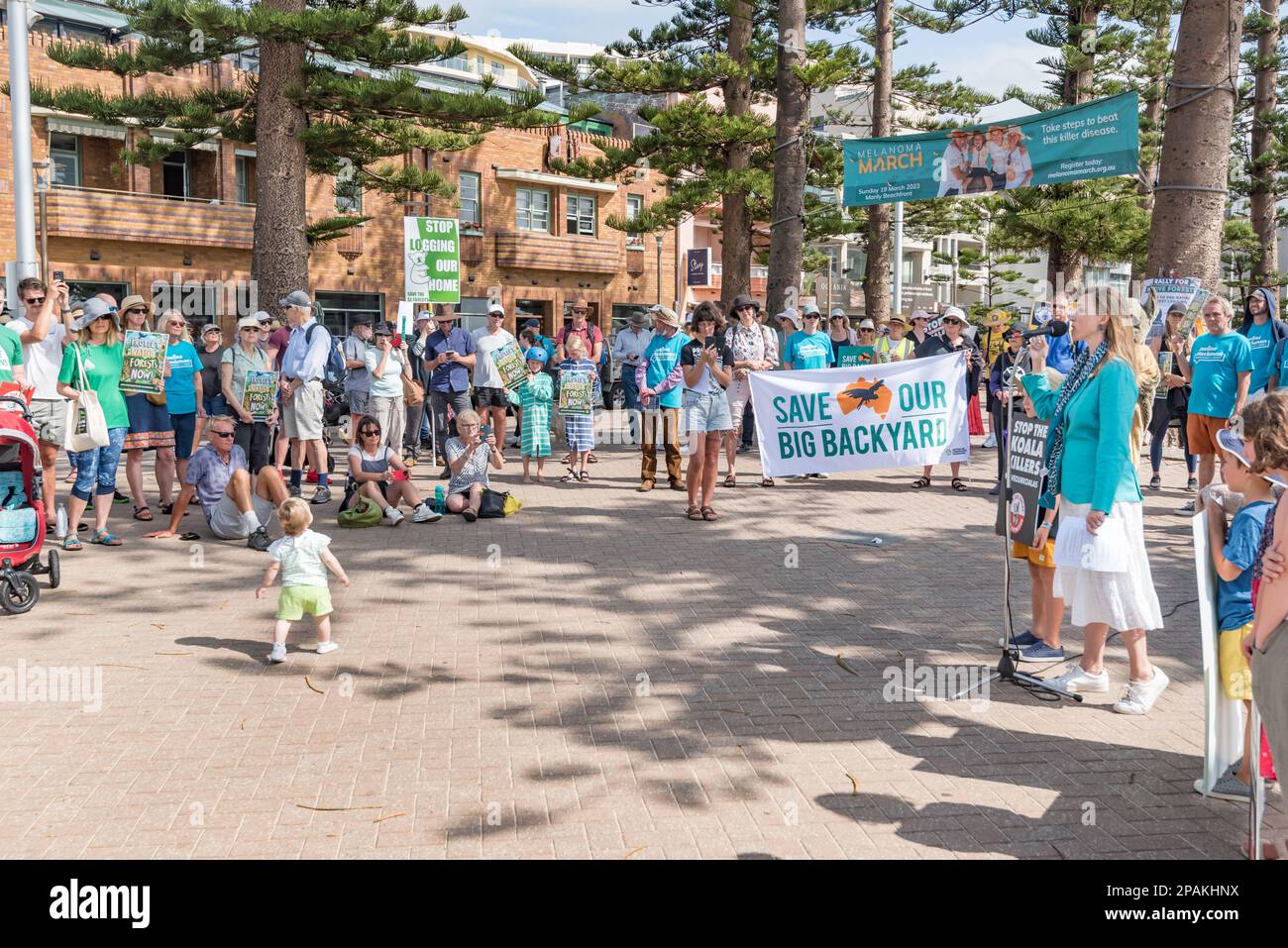 Joeline Hackman, candidata independiente para Manly (Sydney) en las elecciones estatales de Nueva Gales del Sur del 25th de marzo de 2023, hablando en una reunión de protesta en Manly Beach para salvar a los Koalas en Nueva Gales del Sur. El evento fue organizado por miembros de la Fundación Bob Brown. Los oradores en la reunión pidieron el fin de la tala de bosques nativos y la creación de un parque nacional Koala en la costa norte. Crédito: Stephen Dwyer / Alamy Live News Foto de stock