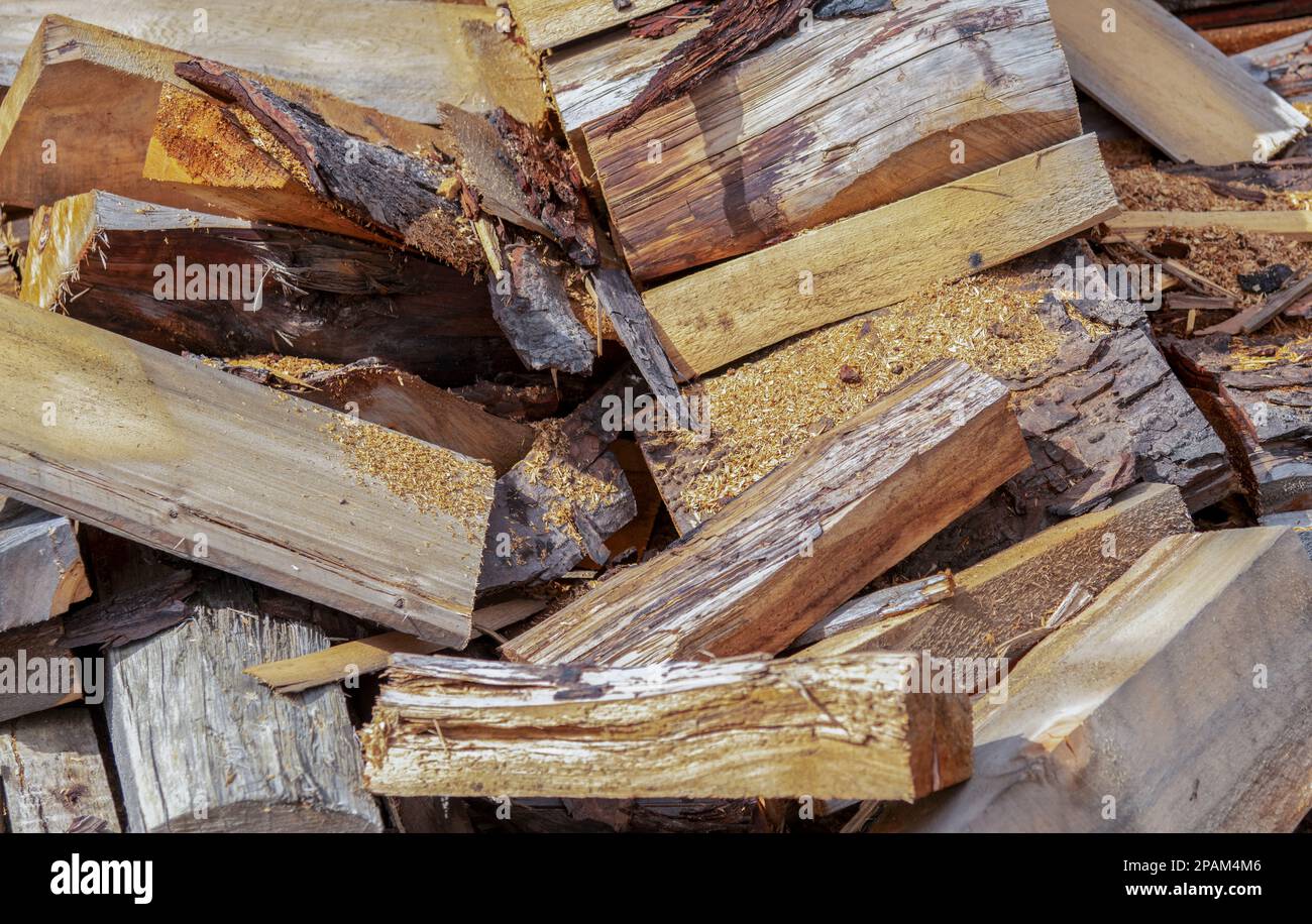 Una pila de troncos de árboles y cortes perfectos para un quemador de leña, combustible de invierno, calefacción. Foto de stock
