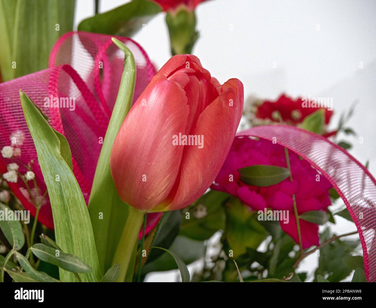 Ramo de flores con rosas, tulipanes, claveles, alstroemeria Foto de stock