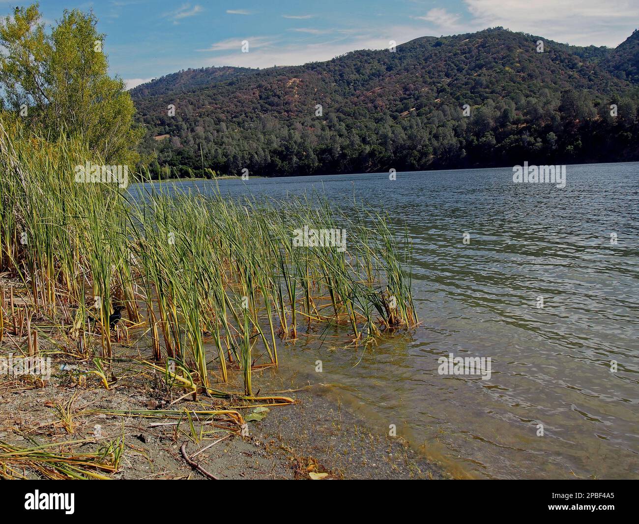 Lago Del Valle en Livermore, California Foto de stock