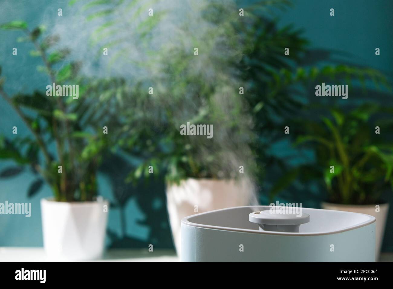 El humidificador ultrasónico libera vapor frío. Cuidado e hidratación de  las plantas al aire seco. Humidificador en el dormitorio para la tos y la  sequedad Fotografía de stock - Alamy
