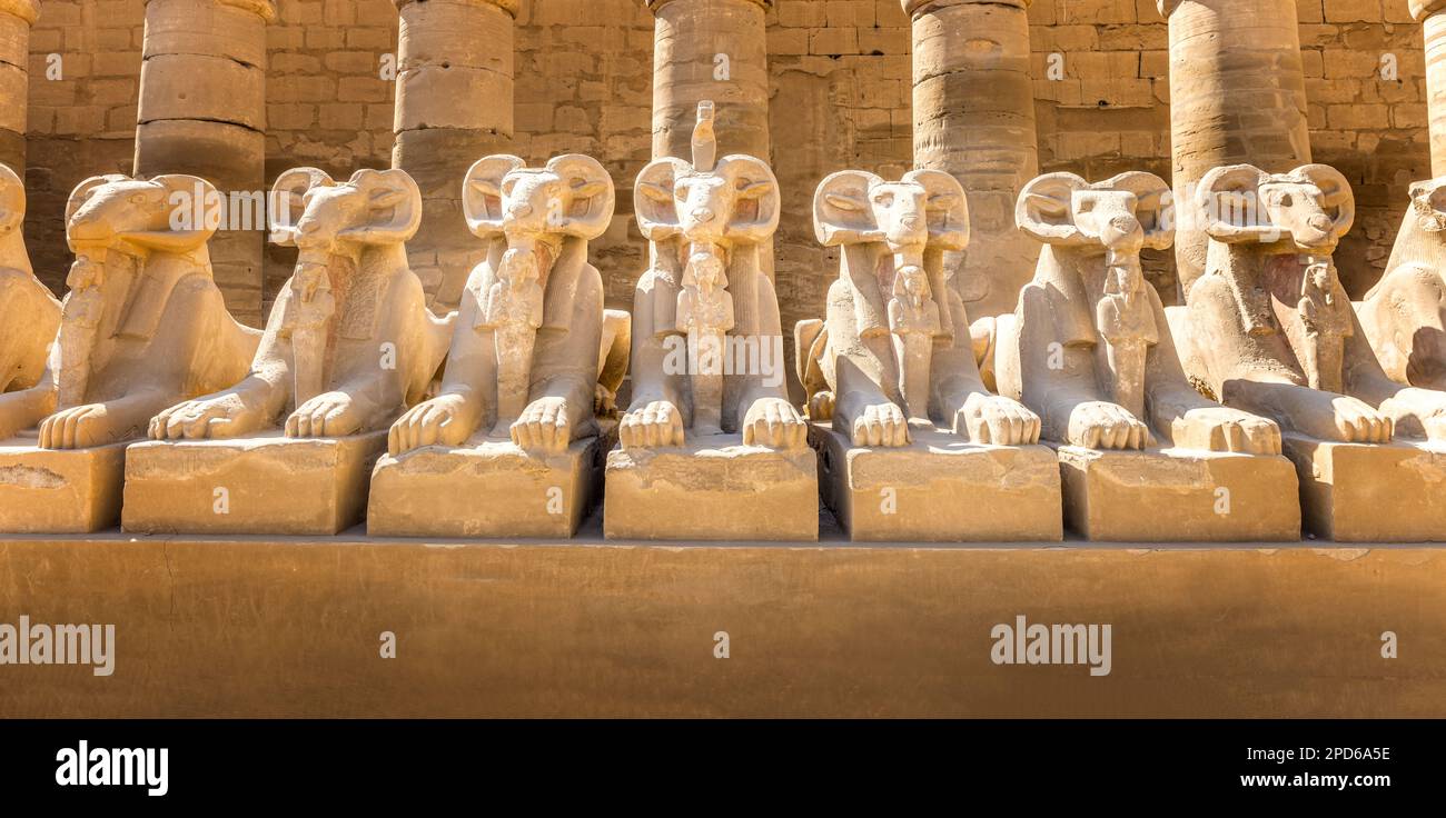 Avenida de los carneros en el templo de Karnak, Luxor Egipto Foto de stock