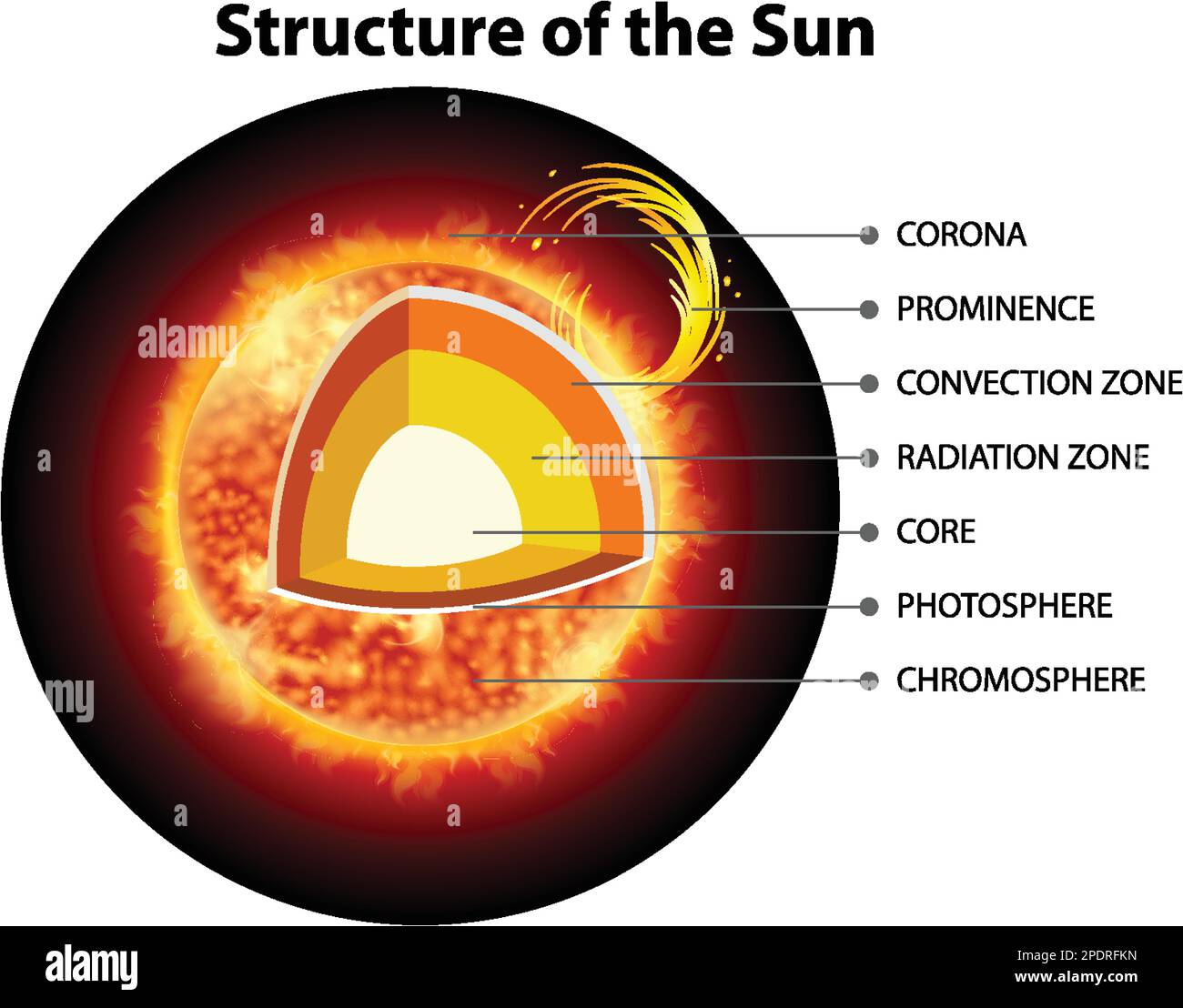 La Estructura Del Sol Ilustración Imagen Vector De Stock Alamy