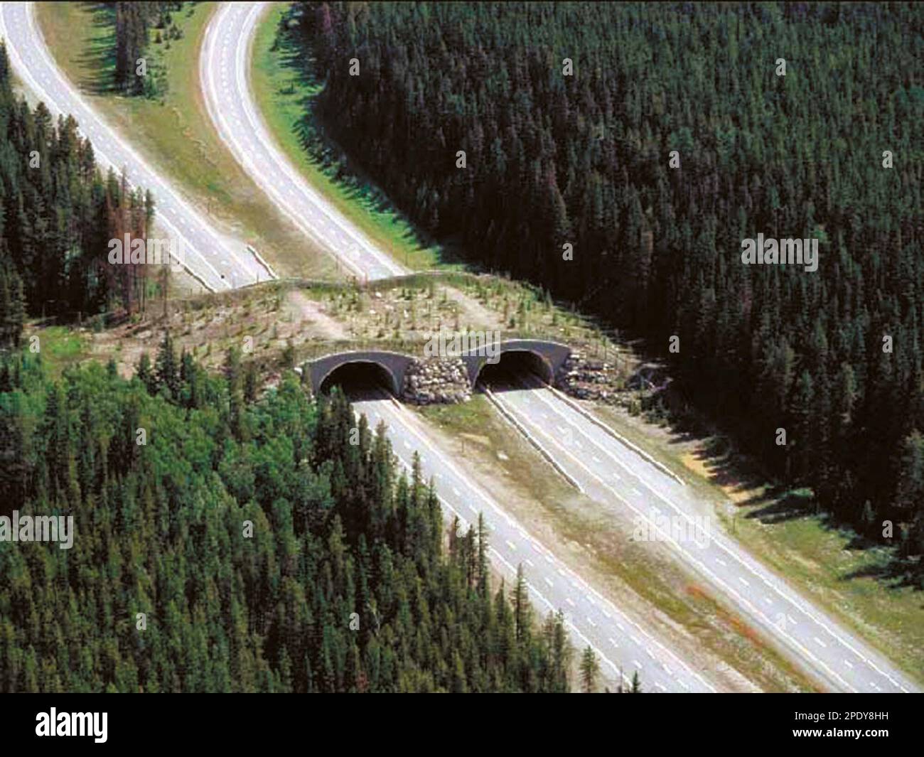 This undated photo shows an animal overpass in Canada. In the