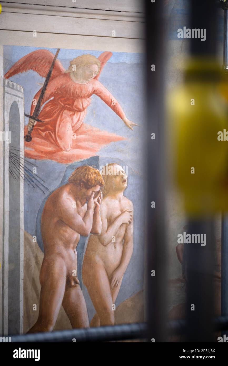 Trabajos de restauración en curso en los famosos frescos de la Capilla Branacci en Florencia. Se permiten recorridos limitados por poco tiempo en medio de los andamios Foto de stock