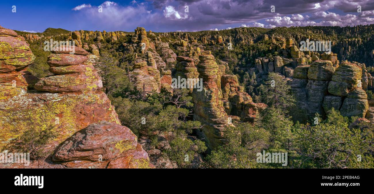 Tierra de las Rocas de Pie, Deposición de Riolita Volcánica, Monumento Nacional Chiricahua, Arizona 1a Foto de stock