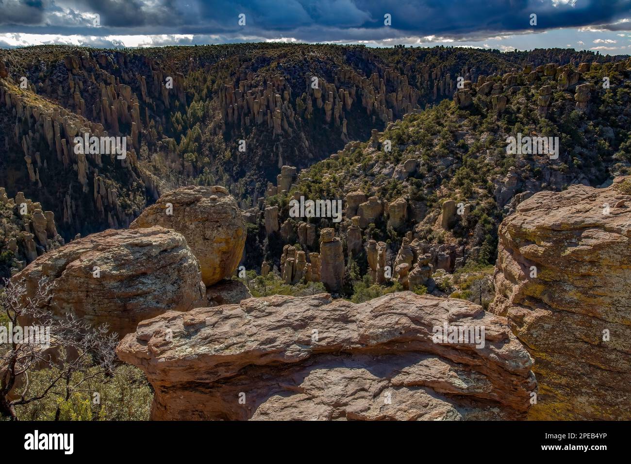 Tierra de las Rocas de Pie, Deposición de Riolita Volcánica, Monumento Nacional Chiricahua, Arizona Foto de stock