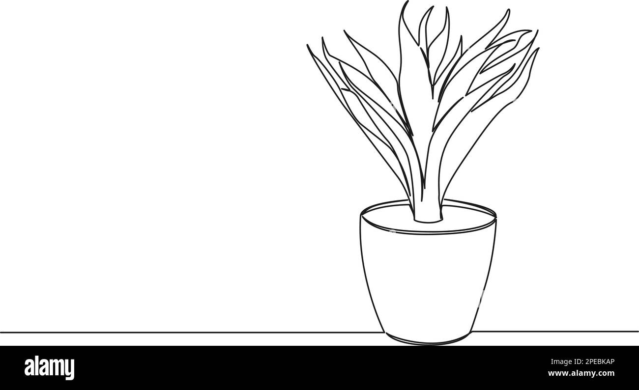 dibujo continuo de una sola línea de planta en maceta, ilustración vectorial de arte de línea Ilustración del Vector