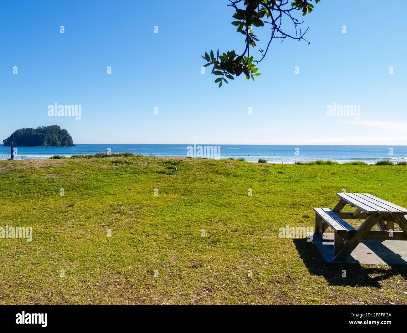 Duna cubierta de hierba y mesa al aire libre en vista del océano-playa hasta el horizonte lejano en el Monte Maunganui. Foto de stock