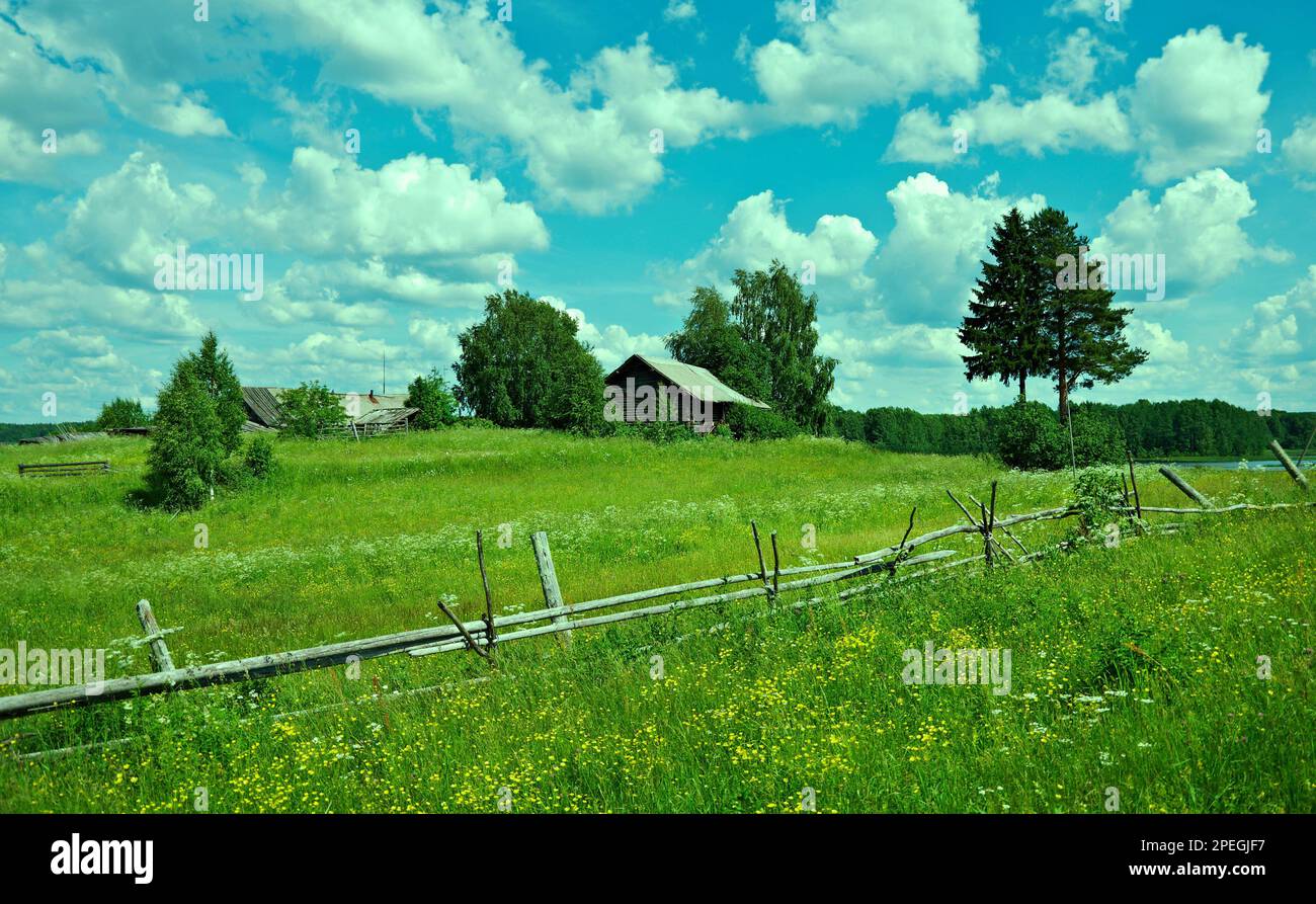 Federación de verano de pradera. Valla de madera. Región de Arkhangelsk, Rusia Foto de stock