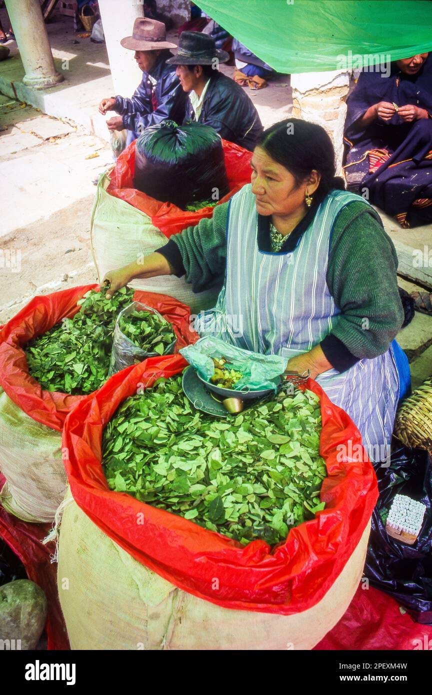 Bolivia, vendiendo hojas de coca en el mercado de Potosí. Las hojas son