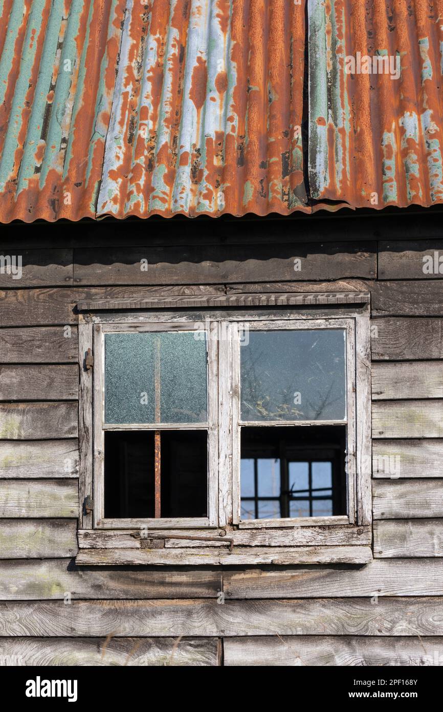 Ventanas de cristal rotas en la pared del granero de madera en descomposición con el tejado acanalado del metal, Berkshire, Inglaterra, Reino Unido, Europa Foto de stock