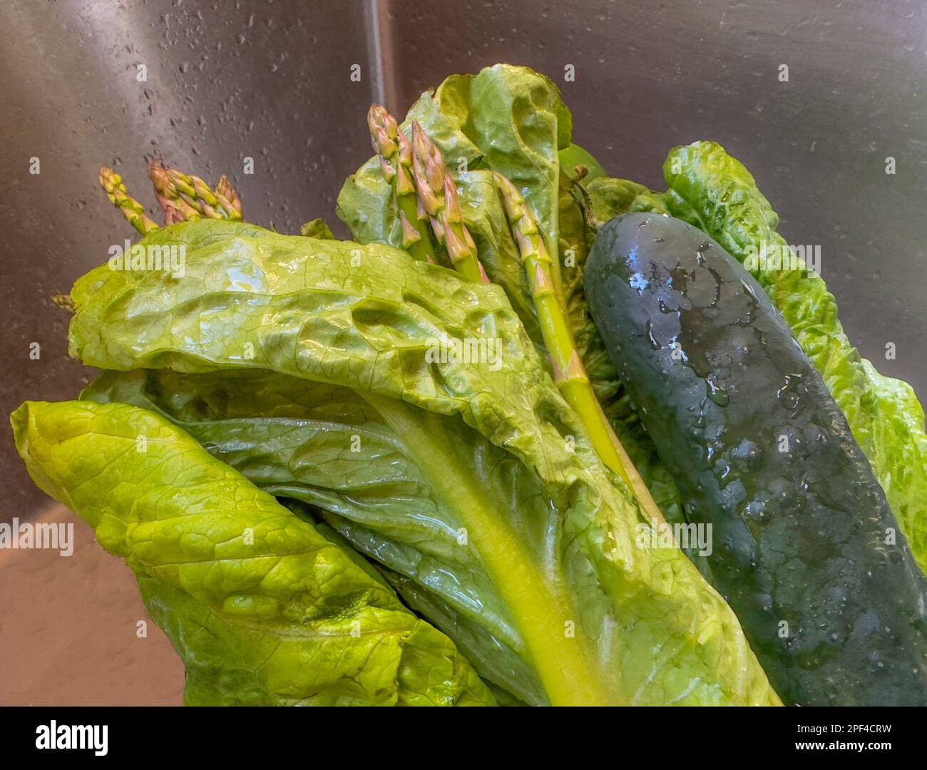 La imagen macro de primer plano muestra verduras verdes en posición vertical en el fregadero, frescas, lavadas y listas. Los espárragos, la lechuga romana y el pepino se pueden utilizar para cocinar y ensaladas. Foto de stock