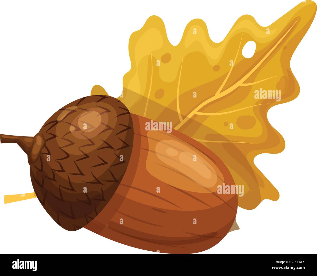 acorn hoja de roble ilustración vectorial de dibujos animados Ilustración del Vector