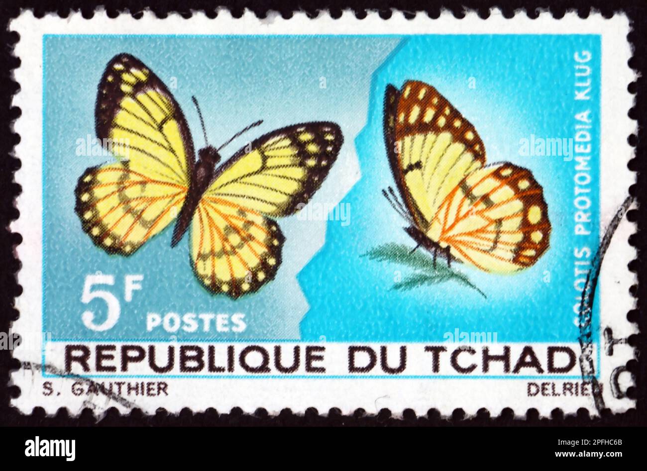 CHAD - CIRCA 1967: Un sello impreso en Chad muestra la punta de esplendor amarillo, colotis protomedia, mariposa, circa 1967 Foto de stock