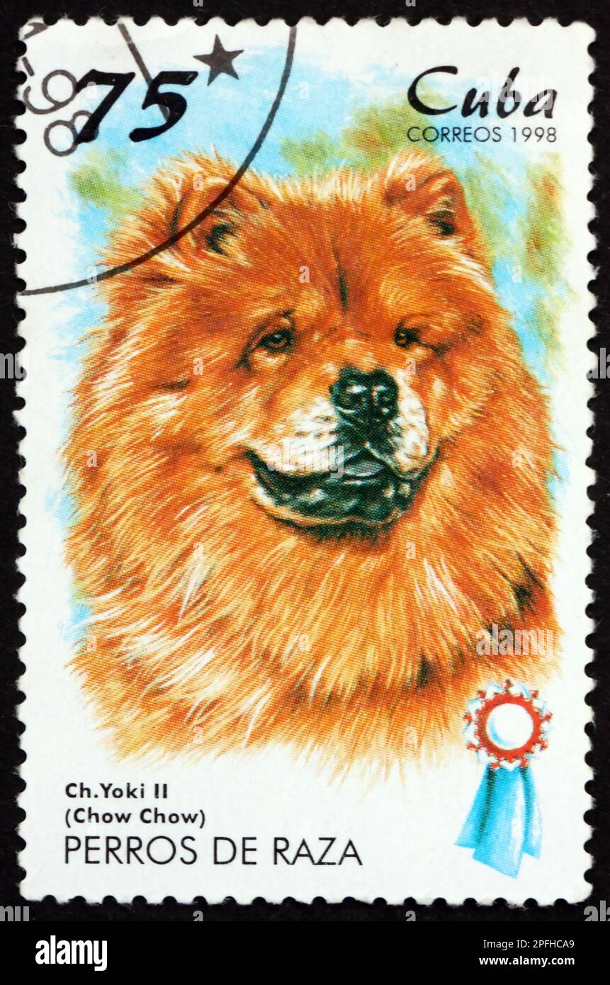 CUBA - CIRCA 1998: Un sello impreso en Cuba muestra chow chow, una raza de perro, circa 1998 Foto de stock