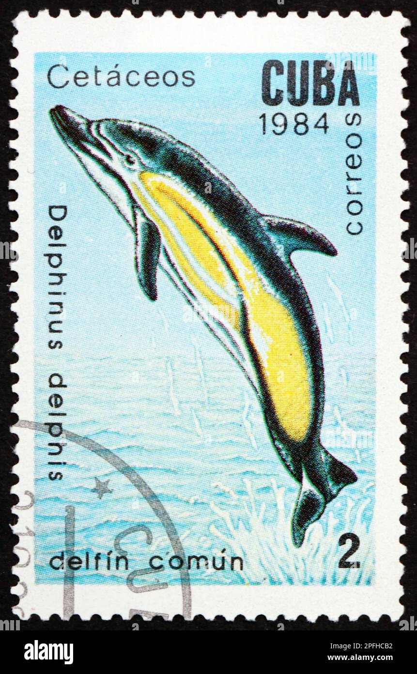 CUBA - CIRCA 1984: Un sello impreso en Cuba muestra delfín común, delphinus delphis, mamífero marino, circa 1984 Foto de stock
