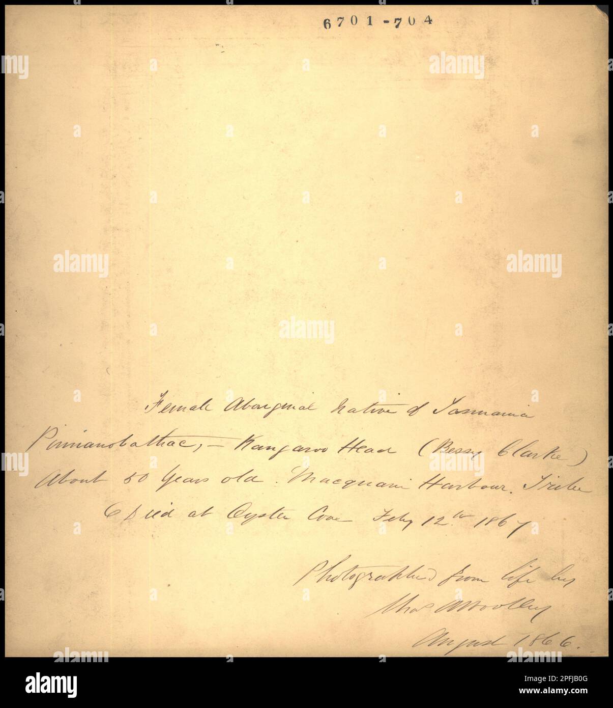 Nativa aborigen de Tasmania Pimanobathac, cabeza de canguro (Bessy