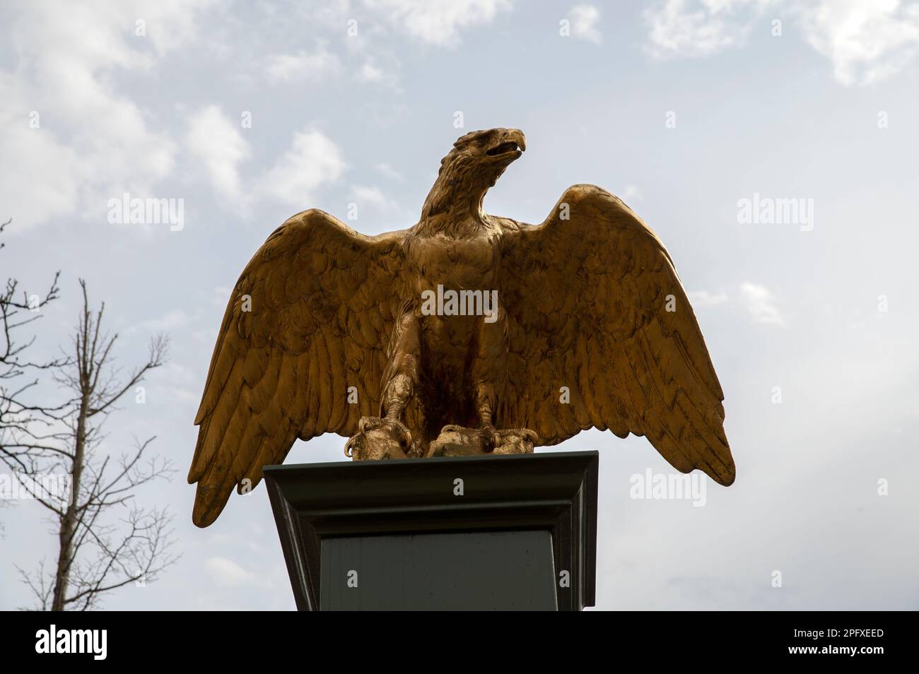 Vista frontal Estatua del águila en el Artis Zoo en Ámsterdam Países Bajos  17-3-2023 Fotografía de stock - Alamy