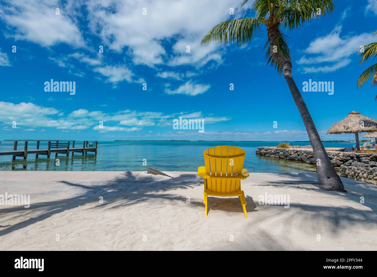 Silla amarilla en la playa con una palmera solitaria y una iguana, Key Largo, Florida, EE.UU Foto de stock