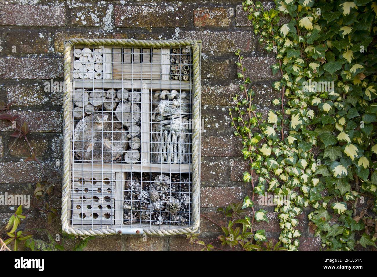 Refugio de invertebrados unido a la pared de ladrillo, Norfolk, Inglaterra, Reino Unido Foto de stock