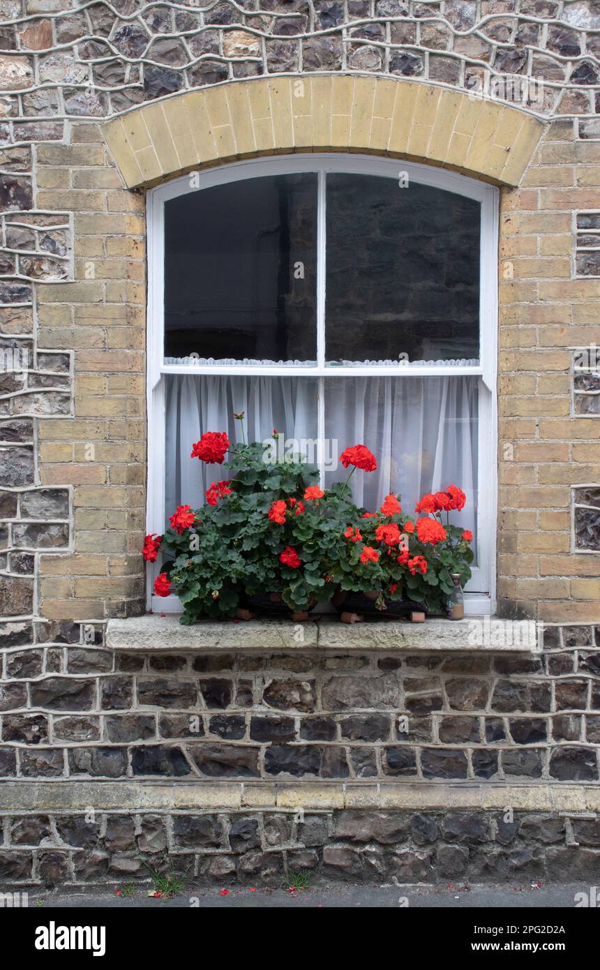 Peculiar ventana con geranios en una caja de flores en la ciudad costera de Lyme Regis en Dorset. El ladrillo y la piedra de los alrededores son distintivos. Foto de stock