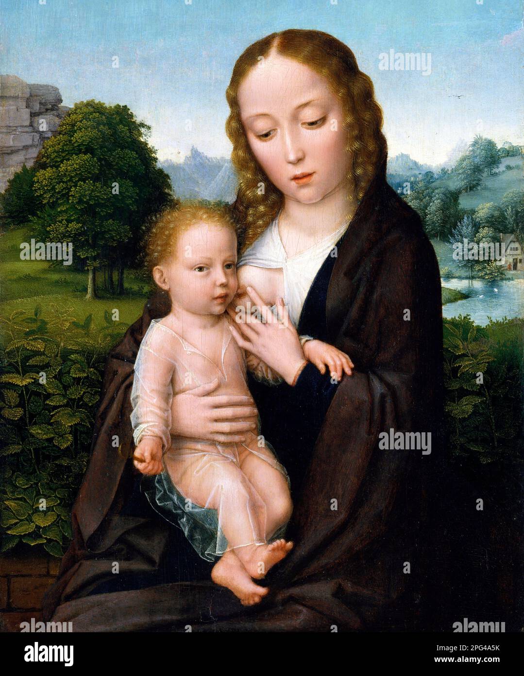Virgen y el Niño por el artista flamenco, Simon Bening (c. 1483-1561), óleo sobre madera, c. 1520 Foto de stock
