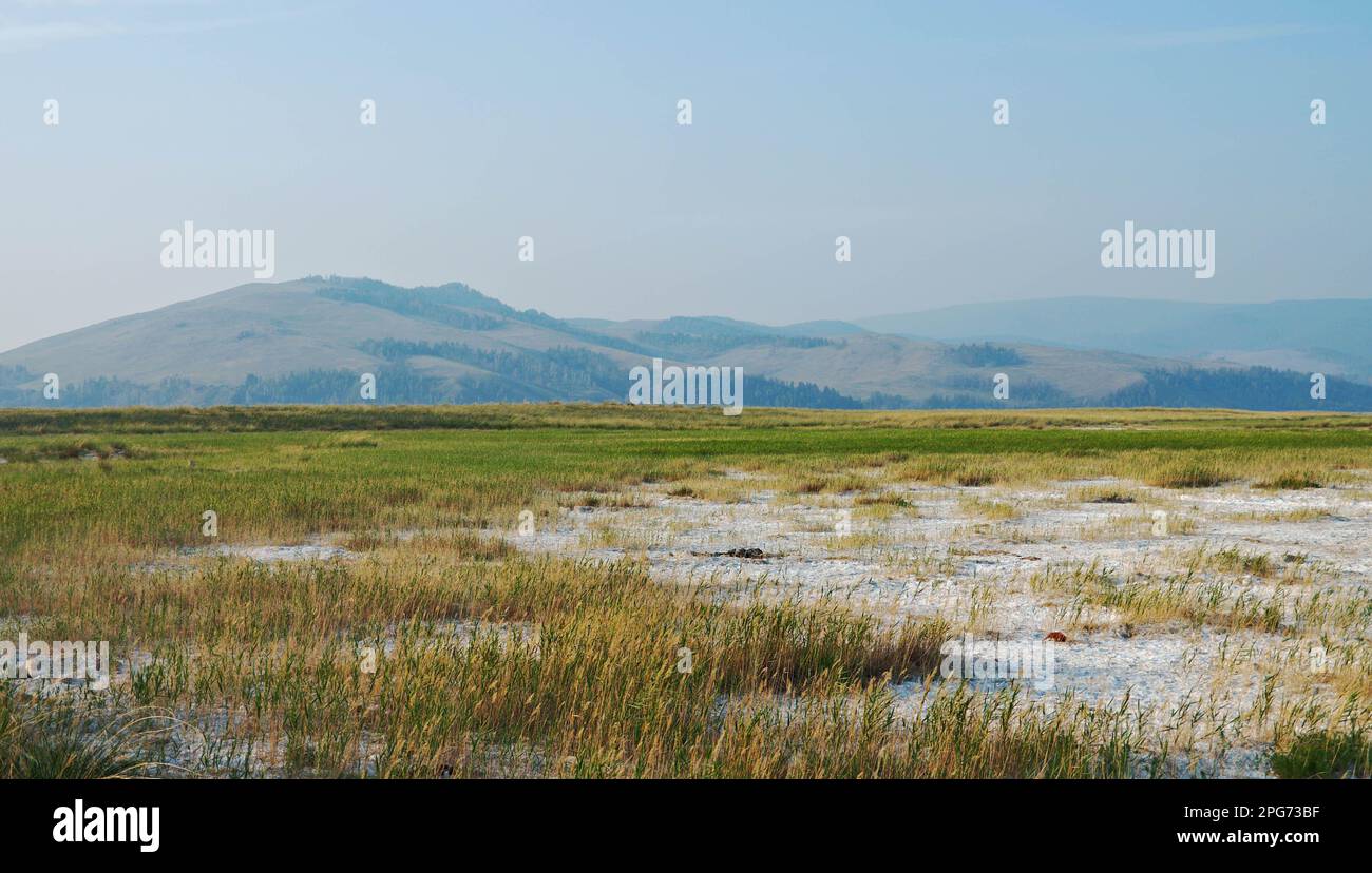 Lagos salados secos, Barguzin valle,de Buriatia, Rusia. Foto de stock